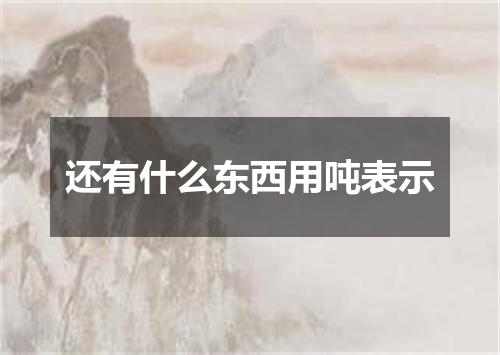 还有什么东西用吨表示