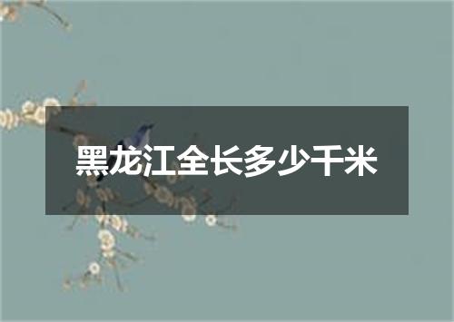 黑龙江全长多少千米