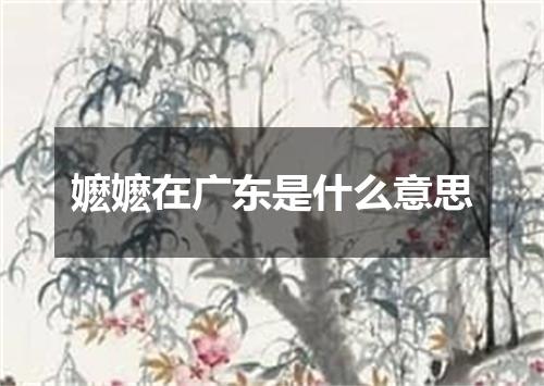 嬷嬷在广东是什么意思