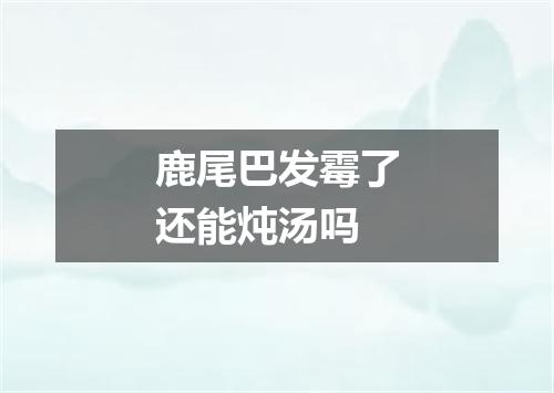 鹿尾巴发霉了还能炖汤吗