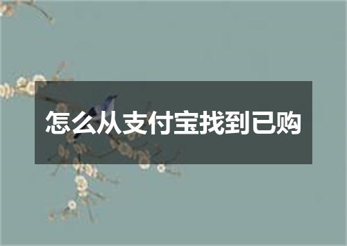 怎么从支付宝找到已购