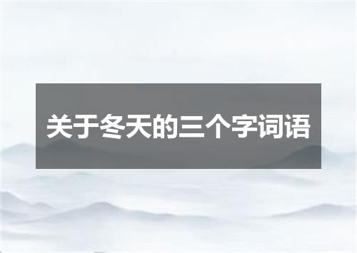关于冬天的三个字词语
