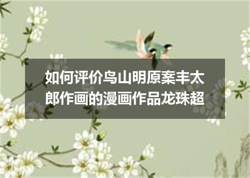 如何评价鸟山明原案丰太郎作画的漫画作品龙珠超