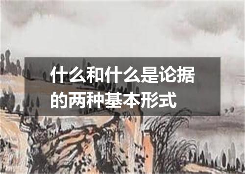 什么和什么是论据的两种基本形式
