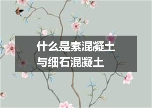 什么是素混凝土与细石混凝土