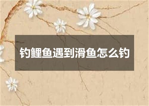钓鲤鱼遇到滑鱼怎么钓