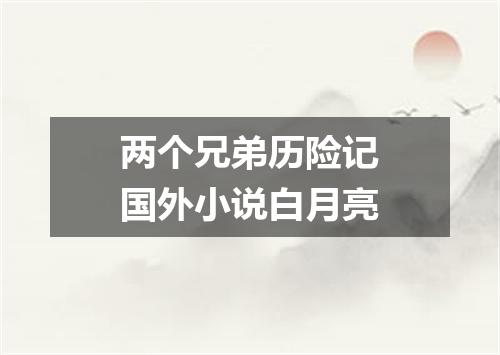 两个兄弟历险记国外小说白月亮
