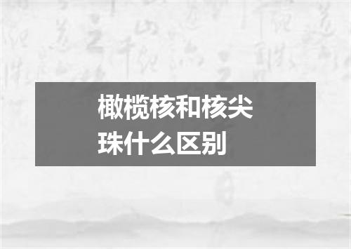 橄榄核和核尖珠什么区别