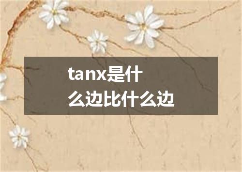 tanx是什么边比什么边