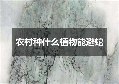 农村种什么植物能避蛇