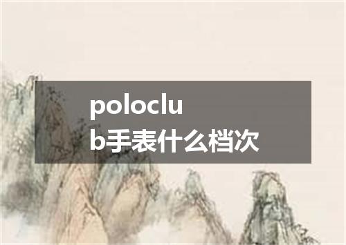 poloclub手表什么档次