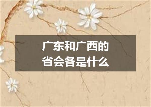 广东和广西的省会各是什么