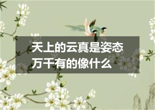 天上的云真是姿态万千有的像什么