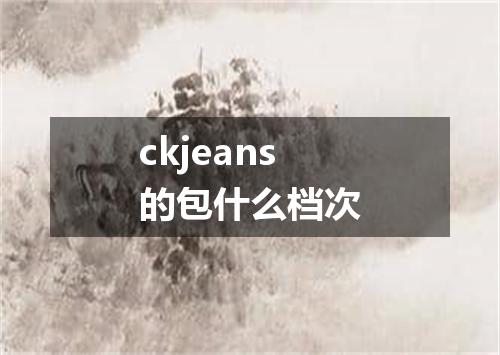 ckjeans的包什么档次