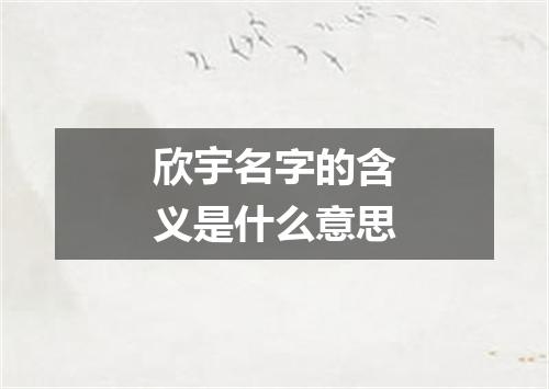 欣宇名字的含义是什么意思