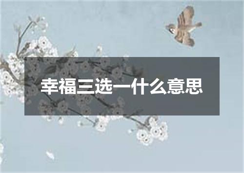 幸福三选一什么意思