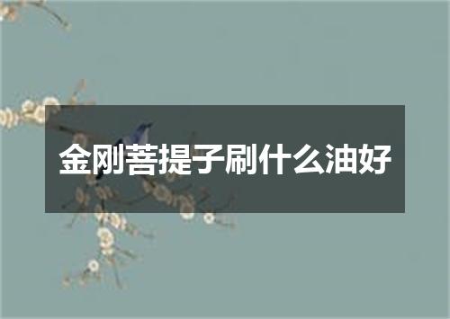 金刚菩提子刷什么油好