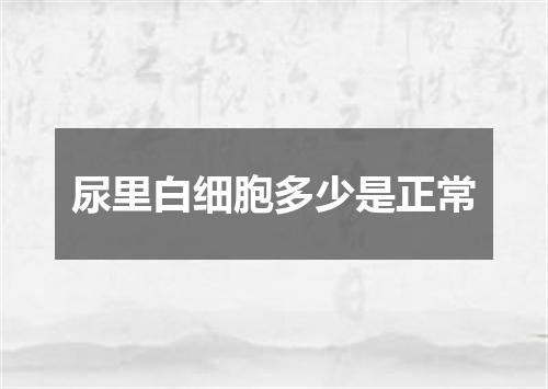 尿里白细胞多少是正常