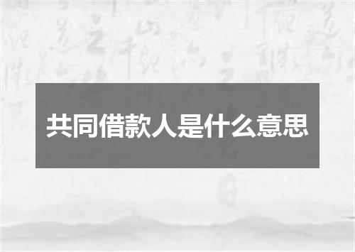 共同借款人是什么意思
