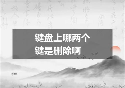 键盘上哪两个键是删除啊