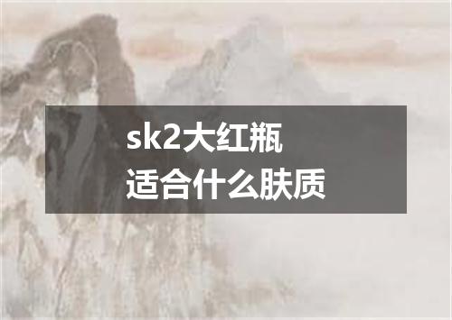 sk2大红瓶适合什么肤质