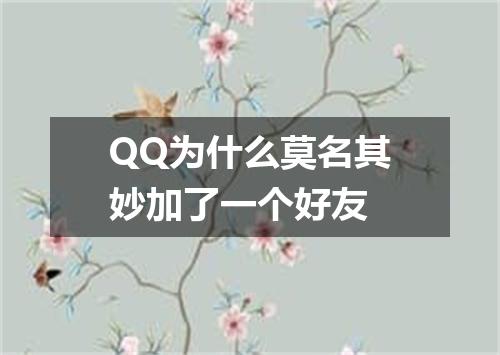 QQ为什么莫名其妙加了一个好友