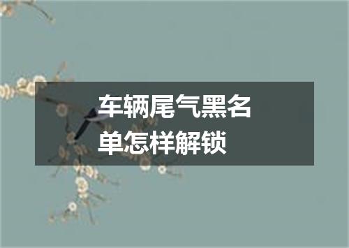 车辆尾气黑名单怎样解锁