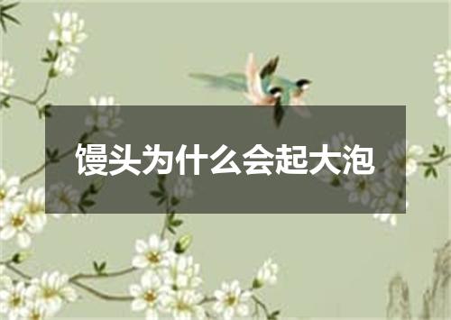 馒头为什么会起大泡