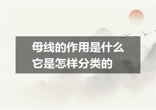 母线的作用是什么它是怎样分类的
