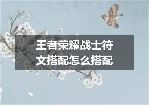 王者荣耀战士符文搭配怎么搭配