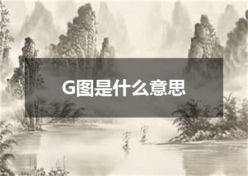 G图是什么意思