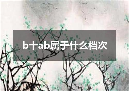 b十ab属于什么档次