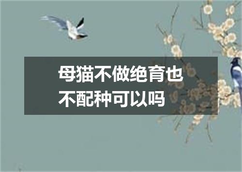 母猫不做绝育也不配种可以吗