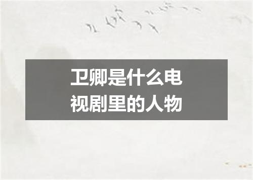 卫卿是什么电视剧里的人物