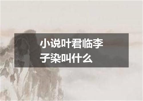 小说叶君临李子染叫什么