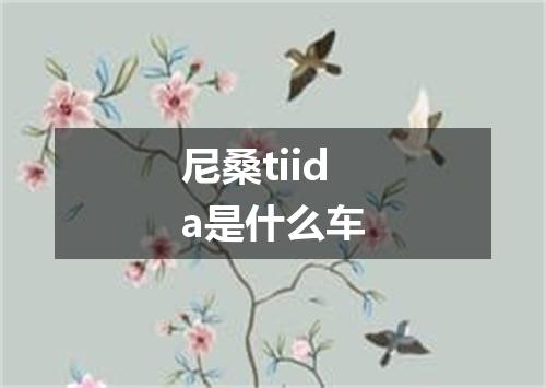 尼桑tiida是什么车