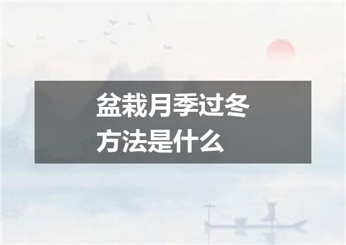 盆栽月季过冬方法是什么