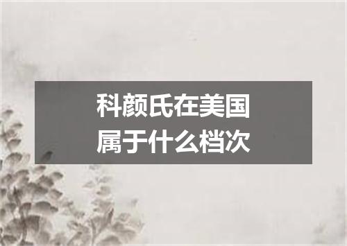 科颜氏在美国属于什么档次