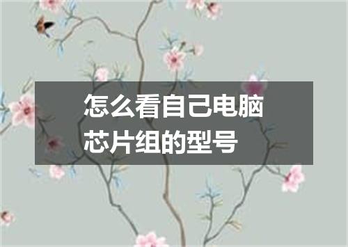 怎么看自己电脑芯片组的型号