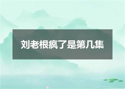刘老根疯了是第几集