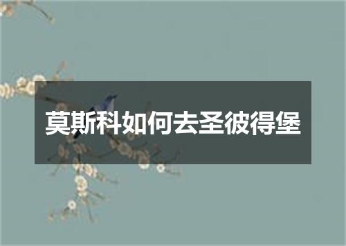 莫斯科如何去圣彼得堡