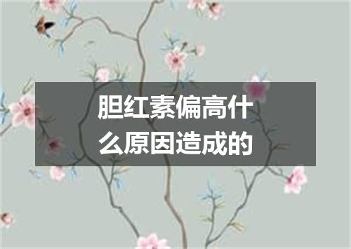 胆红素偏高什么原因造成的