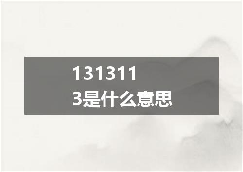 1313113是什么意思