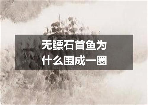 无鳔石首鱼为什么围成一圈