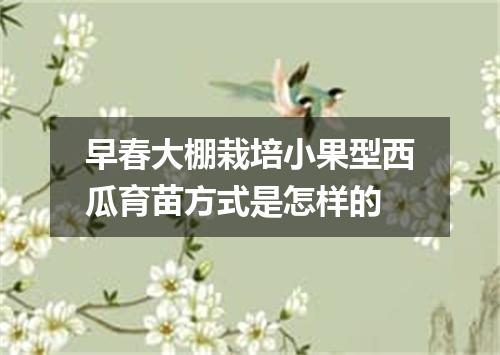 早春大棚栽培小果型西瓜育苗方式是怎样的