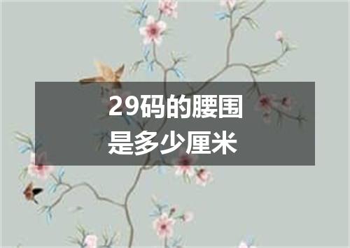 29码的腰围是多少厘米