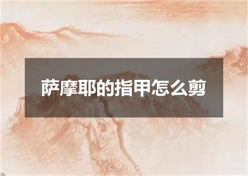 萨摩耶的指甲怎么剪