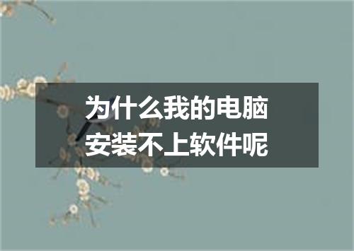 为什么我的电脑安装不上软件呢