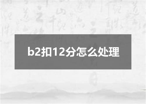 b2扣12分怎么处理