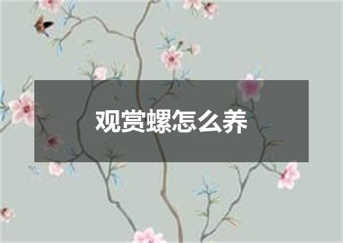 观赏螺怎么养